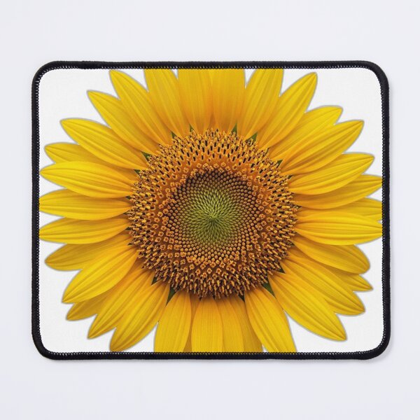 Item preview, Sunflower Bloom Icon v2 — Engraved Lines 23 designed and sold by pumsquare.