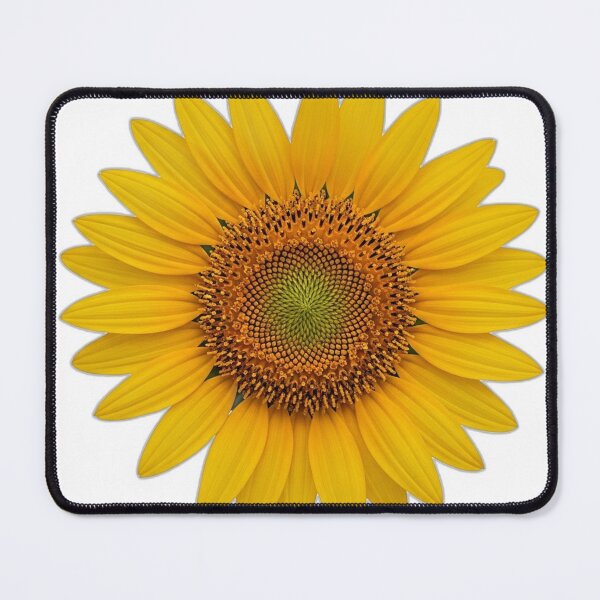 Item preview, Sunflower Bloom Icon v2 — Bold Outline 26 designed and sold by pumsquare.