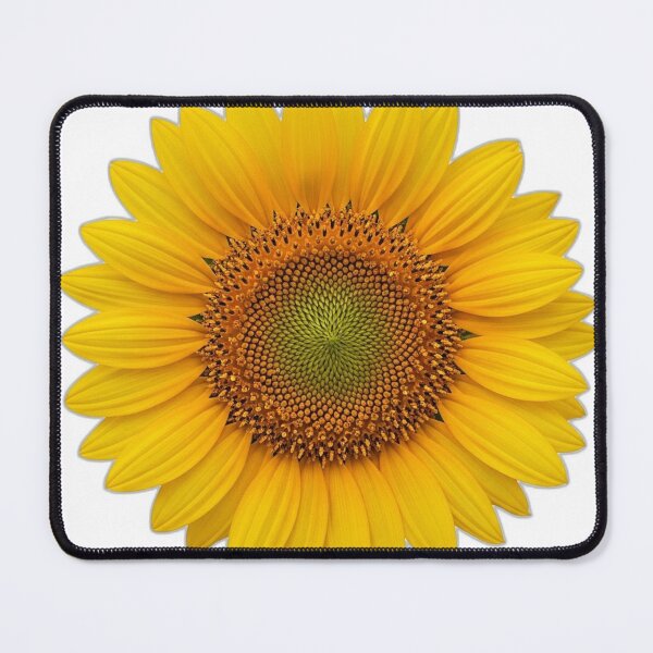 Item preview, Sunflower Bloom Icon v2 — Stained Glass 27 designed and sold by pumsquare.
