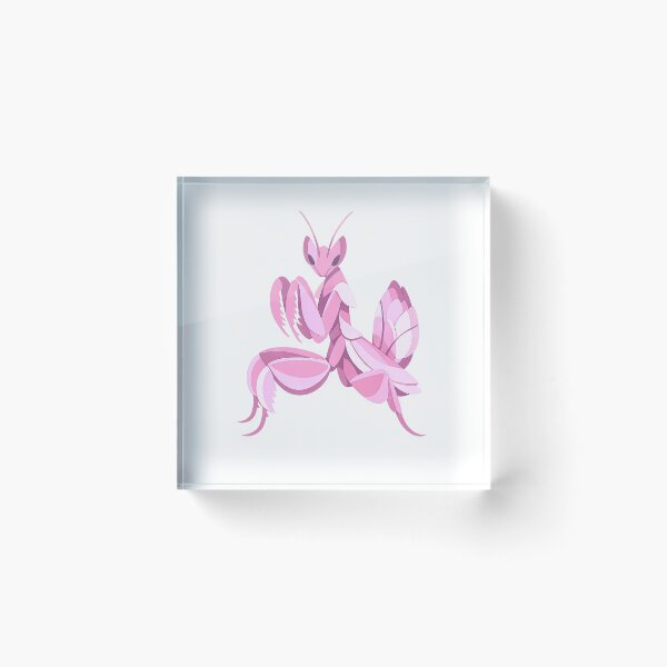 Item preview, Pink Spiny Flower Mantis designed and sold by scicilysimonee.