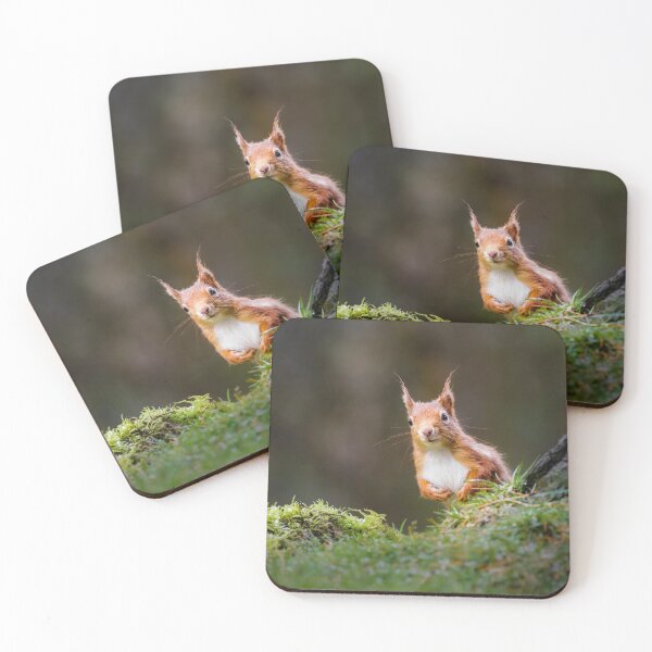 Item preview, Curious Red Squirrel  designed and sold by Alec Stewart.