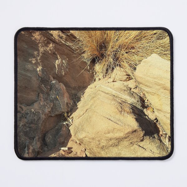 Item preview, Glen Canyon designed and sold by Cupertino.