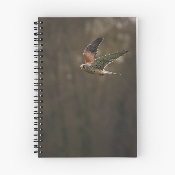 Item preview, Kestrel in flight  designed and sold by nikkysDesigns.