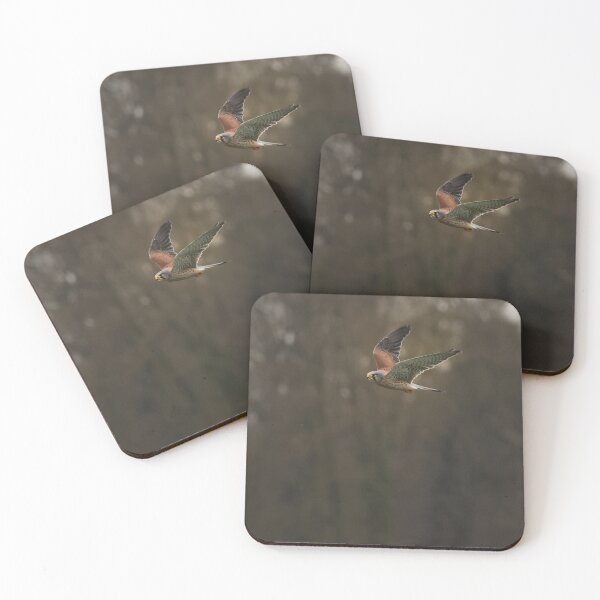 Item preview, Kestrel in flight  designed and sold by nikkysDesigns.