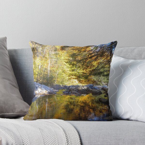 Item preview, Vermont designed and sold by Cupertino.