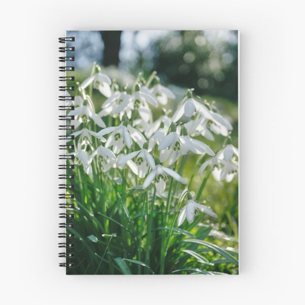 Item preview, Burton Agnes Snowdrops designed and sold by Alisonchambers2.