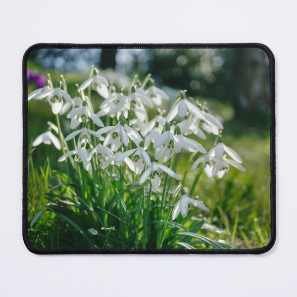 Item preview, Burton Agnes Snowdrops designed and sold by Alisonchambers2.
