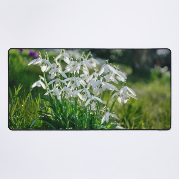 Item preview, Burton Agnes Snowdrops designed and sold by Alisonchambers2.