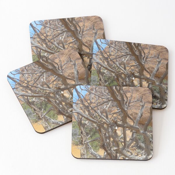 Item preview, Moab Coat Hook designed and sold by Cupertino.