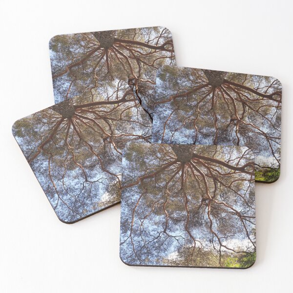 Item preview, Tree From Below designed and sold by CalmnessbyChoice.