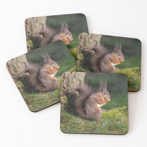 Item preview, Red Squirrel designed and sold by Alec Stewart.