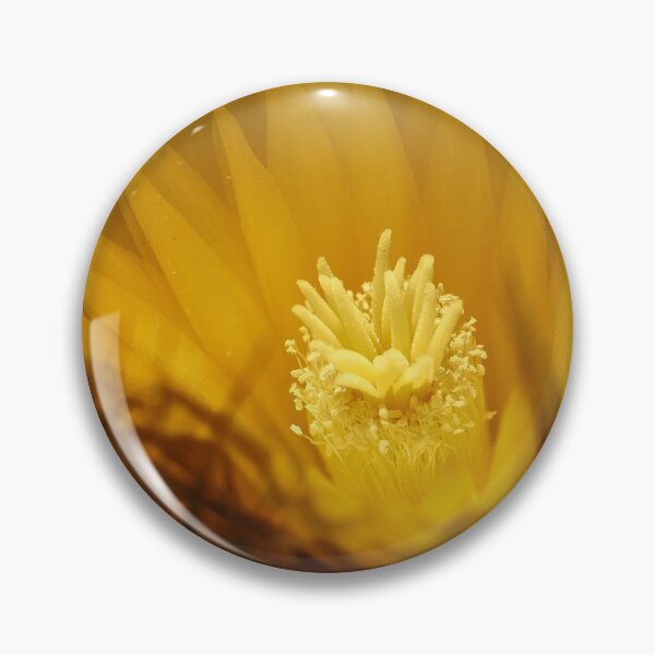 Item preview, Golden Barrel Cactus designed and sold by migawadesign.