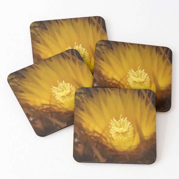 Item preview, Golden Barrel Cactus designed and sold by migawadesign.
