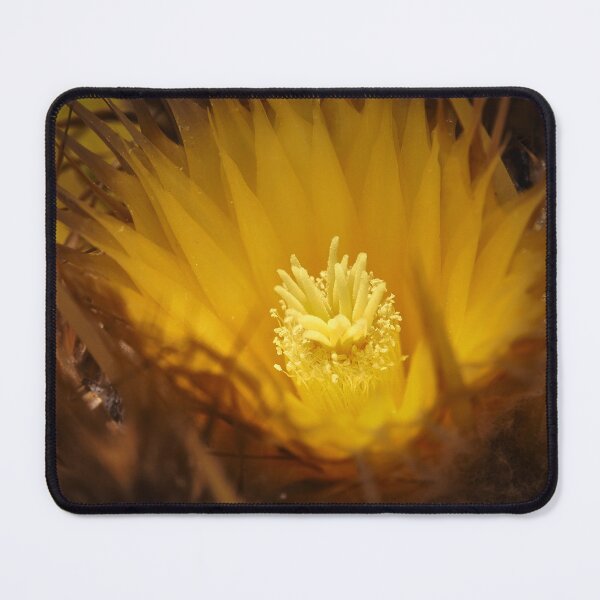 Item preview, Golden Barrel Cactus designed and sold by migawadesign.