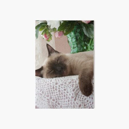 So Tired Art Board Print