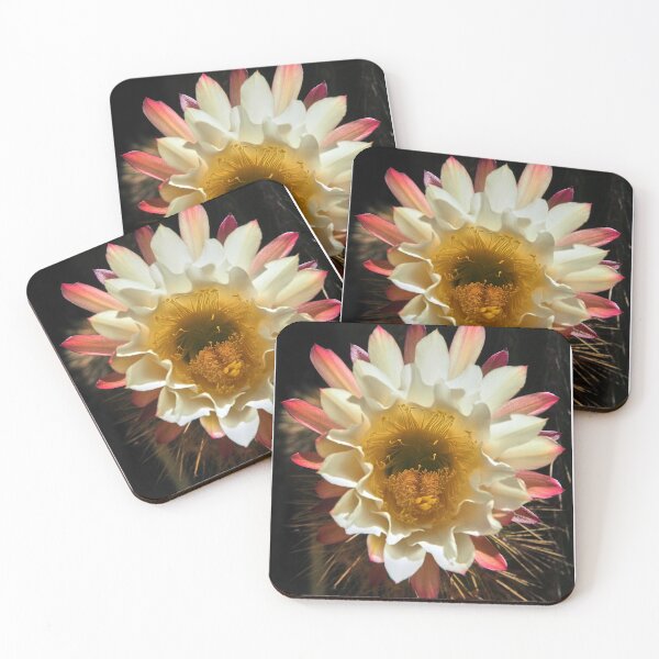 Item preview, Cactus in flower designed and sold by migawadesign.