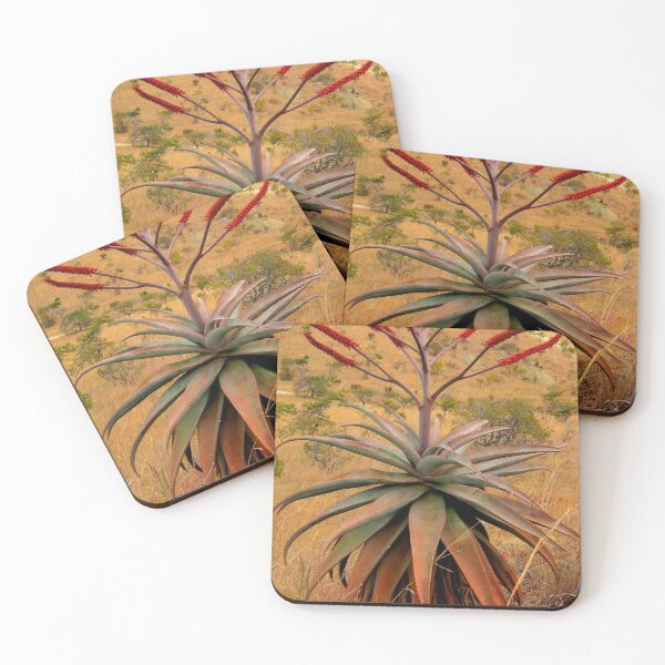 Item preview, Aloe from Africa designed and sold by RosJoy.