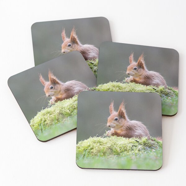 Item preview, Red Squirrel Portrait designed and sold by Alec Stewart.