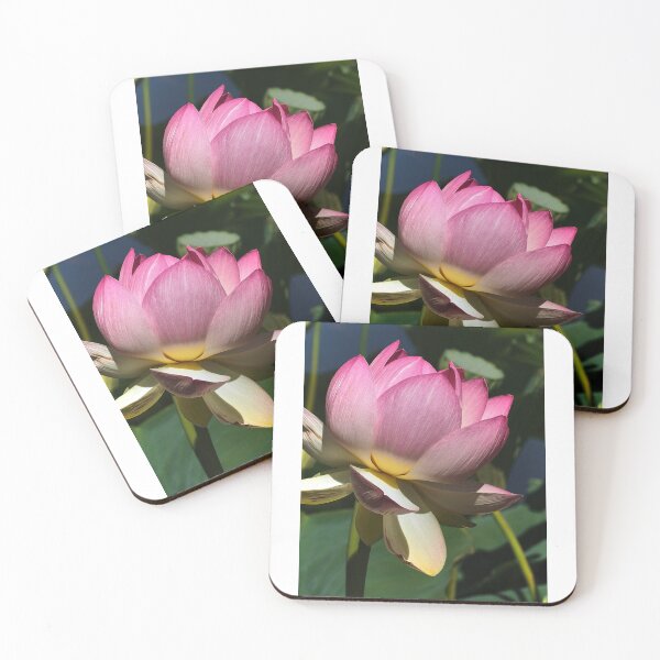 Item preview, Lotus III designed and sold by migawadesign.