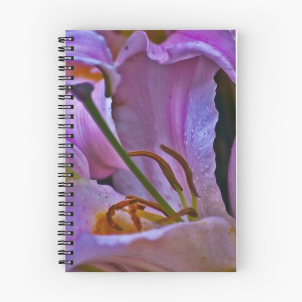 Item preview, Asiatic Lily in Macro designed and sold by Bryan Spellman.