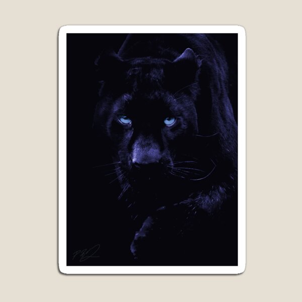 Die Schwarzen Pumas Magnete Redbubble