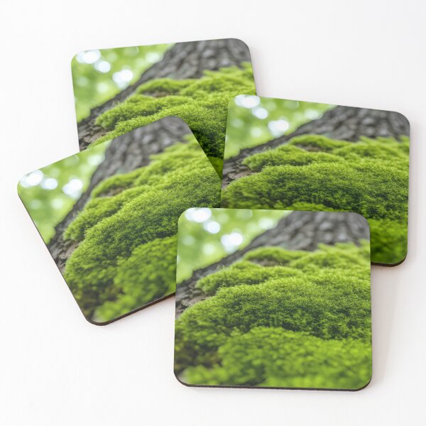 Item preview, Green Moss on Tree Trunk | Woodland Nature Texture | Forest Photography Print designed and sold by ThatSurreyLife.