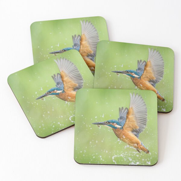 Item preview, Kingfisher with Fish designed and sold by Alec Stewart.
