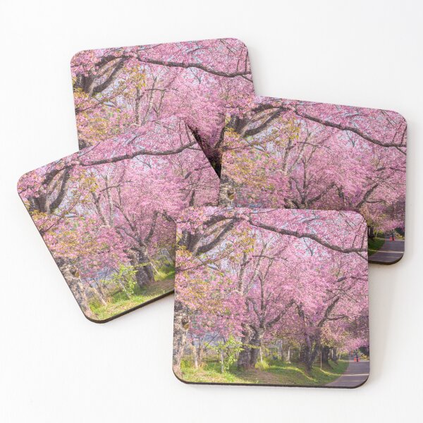 Item preview, Cherry Blossom Tree Surrey | Pink Spring Nature | England UK Outdoor Photography designed and sold by ThatSurreyLife.
