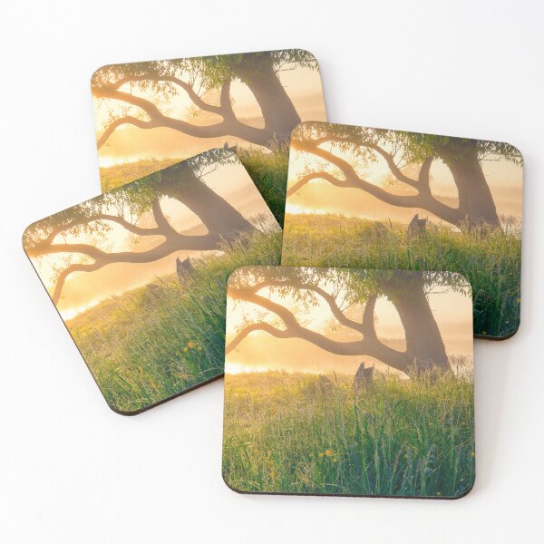 Item preview, Surrey Sunrise Tree | Grass & Branch Nature Scene | England UK Landscape Photography designed and sold by ThatSurreyLife.