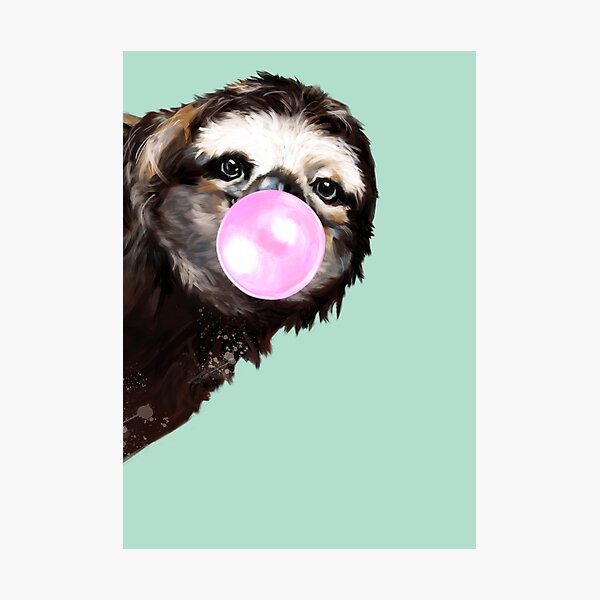 Playful Sneaky Sloth with Bubble Gum Photographic Print
