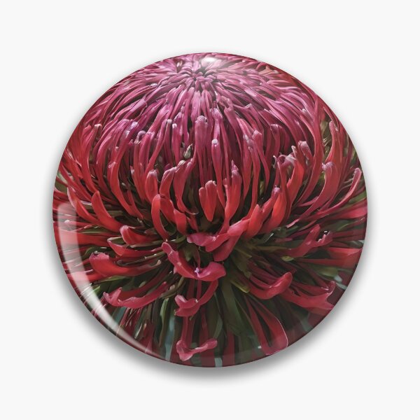 Item preview, "Bold Beauty: The Majestic Red Waratah Flower" designed and sold by A-Work-Of-Art.