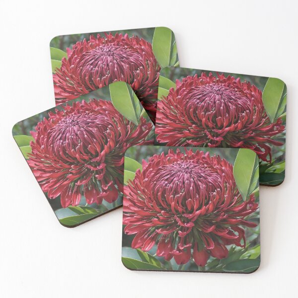 Item preview, "Bold Beauty: The Majestic Red Waratah Flower" designed and sold by A-Work-Of-Art.
