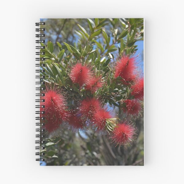 Item preview, Crimson Cascade The Red Australian Bottle Brush Tree, designed and sold by A-Work-Of-Art.