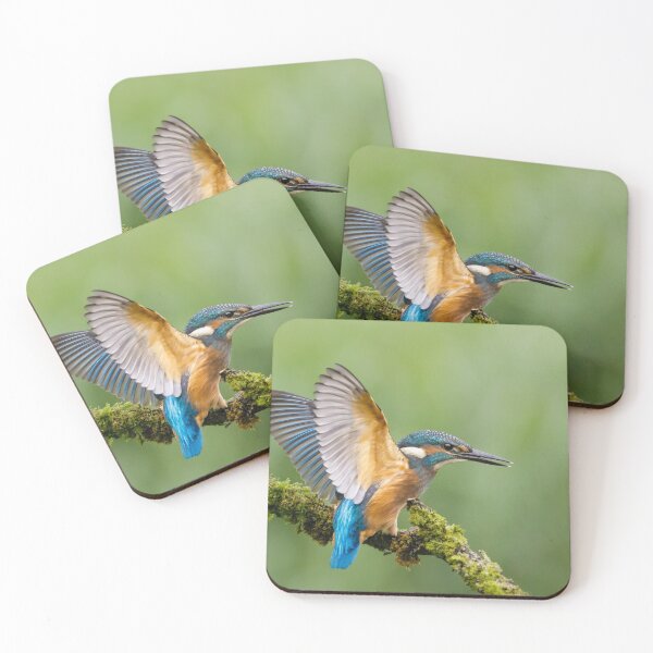Item preview, Juvenile Kingfisher designed and sold by Alec Stewart.