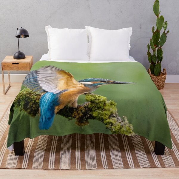 Item preview, Juvenile Kingfisher designed and sold by Alec Stewart.