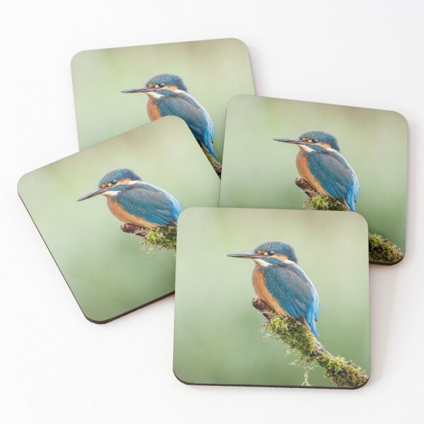 Item preview, Kingfisher Perched designed and sold by Alec Stewart.