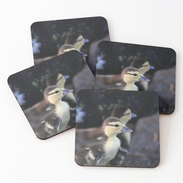Item preview, Hello World  designed and sold by Glennphotos.