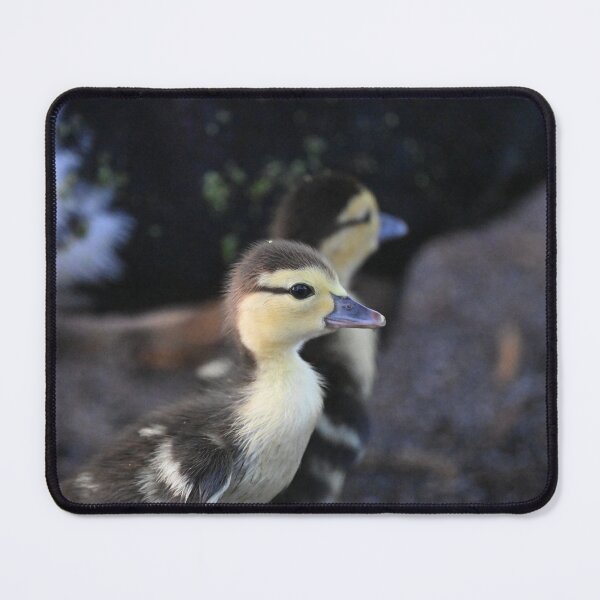 Item preview, Hello World designed and sold by Glennphotos.
