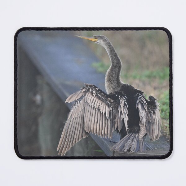 Item preview, I'm molting designed and sold by Glennphotos.