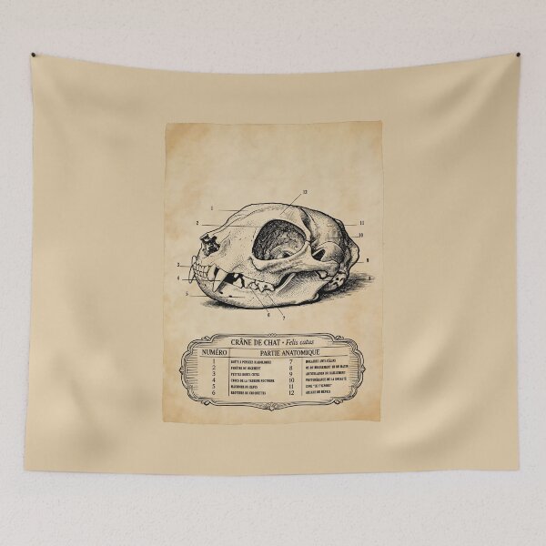 Item preview, Vintage Cat Skull Anatomy with Funny French Labels designed and sold by TOTO GUYANA.
