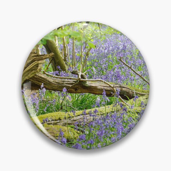 Item preview, Bluebell Carpet Guildford  | Chantry Wood & Pewley Down | England Spring Forest Photography designed and sold by ThatSurreyLife.