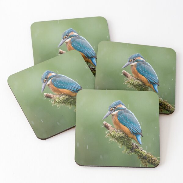 Item preview, Kingfisher in the Rain designed and sold by Alec Stewart.