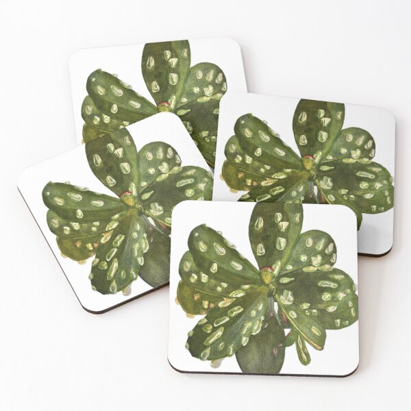 Item preview, Rain-drenched Succulent designed and sold by Kress Art Studio.