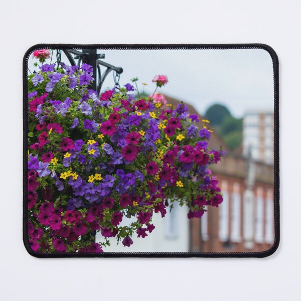 Item preview, Colourful Street Flowers Guildford | Surrey England Floral Post | UK Town Photography designed and sold by ThatSurreyLife.