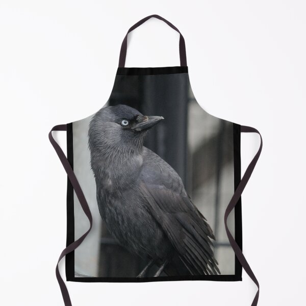 Item preview, St Davids Jackdaw designed and sold by AnthonyThomas.