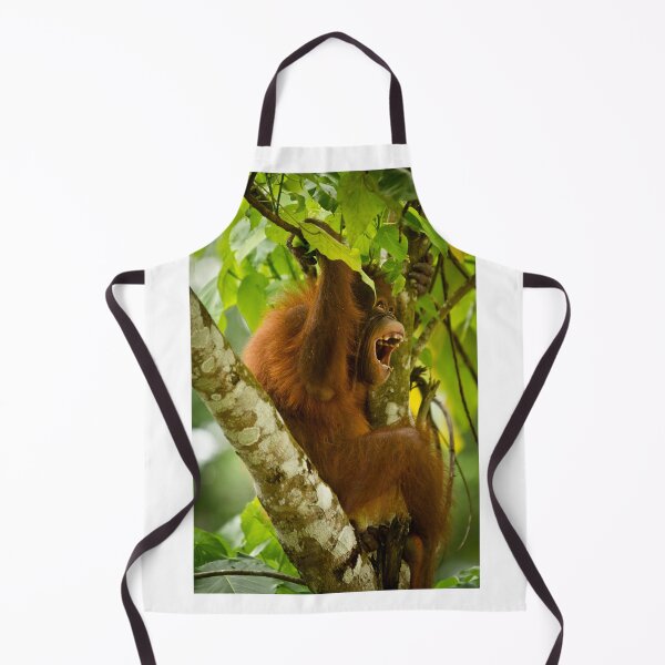 Artikelvorschau, Junger Orang-Utan Borneo II entworfen und verkauft von Justharry.