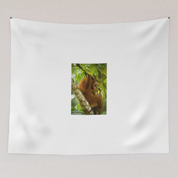 Item preview, Young Orangutan Borneo II designed and sold by Justharry.