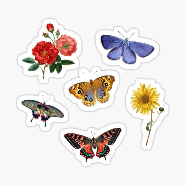 butterfly aesthetic stickers redbubble