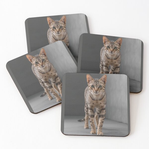 Item preview, Kinetic Instinct – California Spangled Calyx Portrait Design designed and sold by ArtivaNest.