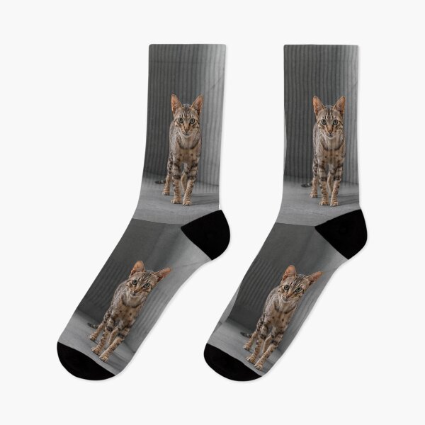 Item preview, Kinetic Instinct – California Spangled Calyx Portrait Design designed and sold by ArtivaNest.